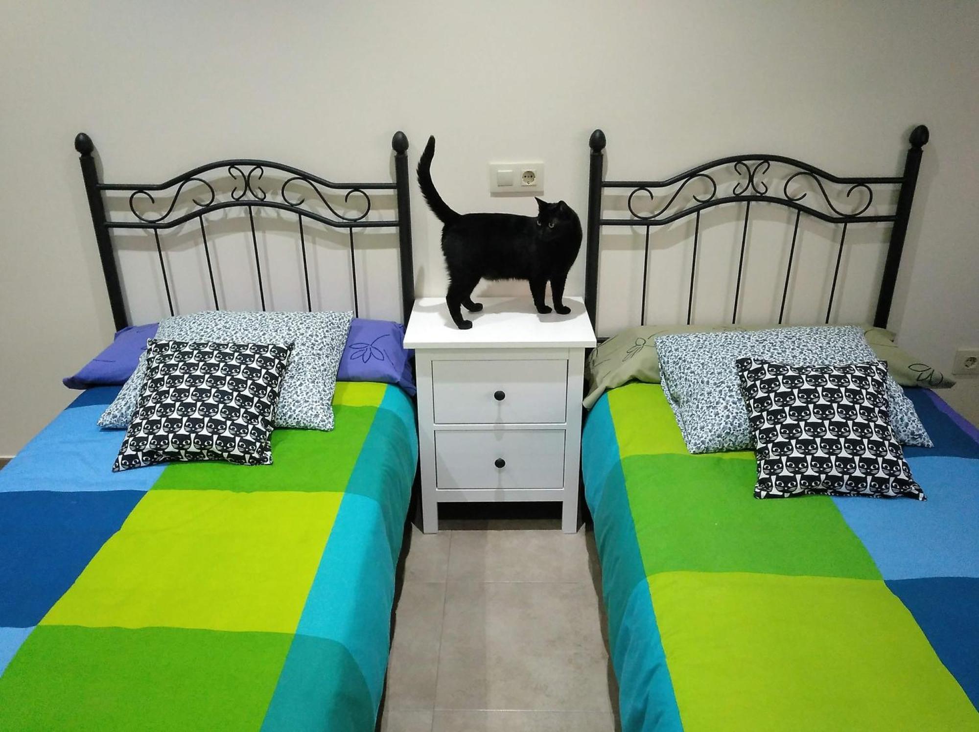 Casa Rural El Gato Negro Trefacio Kültér fotó
